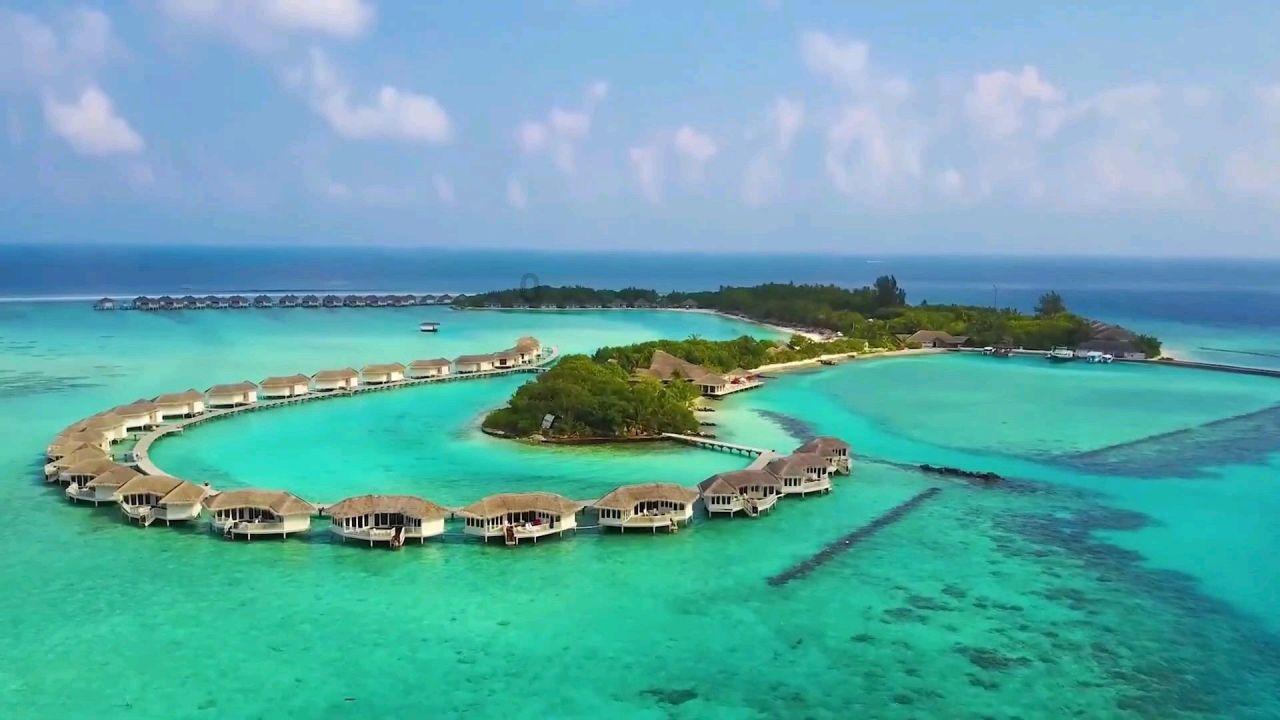 远安浓情腊八节送法进社区