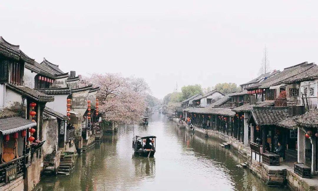 情暖冬日 饺子飘香-鄂尔多斯路街道办事处长青社区冬日活动暖人心